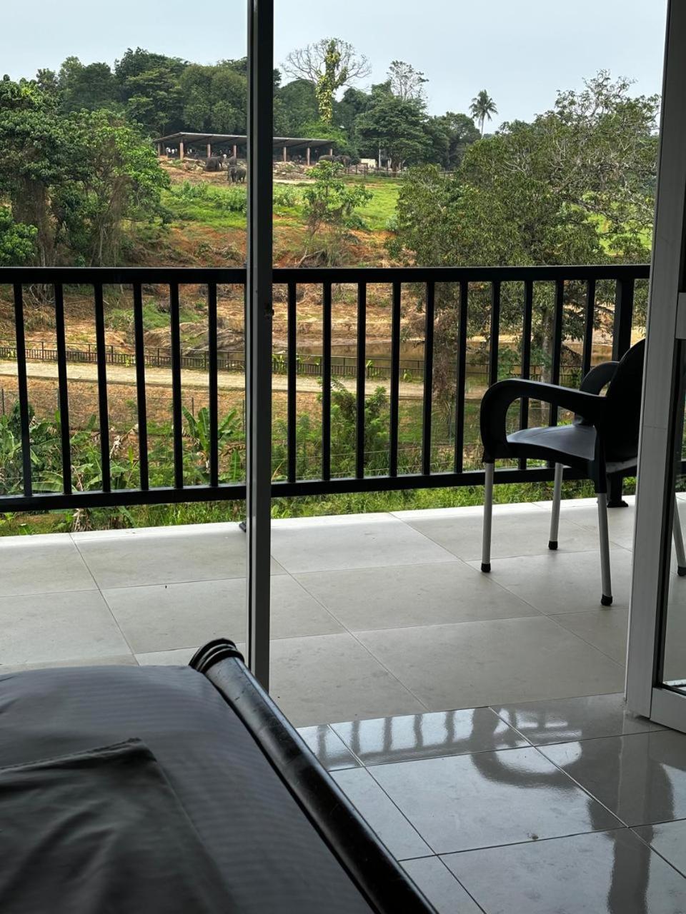 Pinnawala Elephant Front View Hotel Rambukkana Экстерьер фото